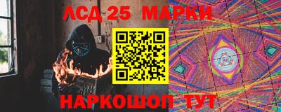 гидропоника Краснознаменск