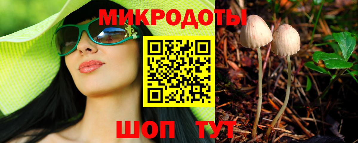Псилоцибиновые грибы MAGIC MUSHROOMS  наркотики  Егорьевск  Вход с VPN 